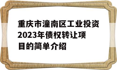 重庆市潼南区工业投资2023年债权转让项目的简单介绍