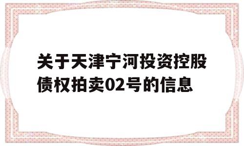 关于天津宁河投资控股债权拍卖02号的信息