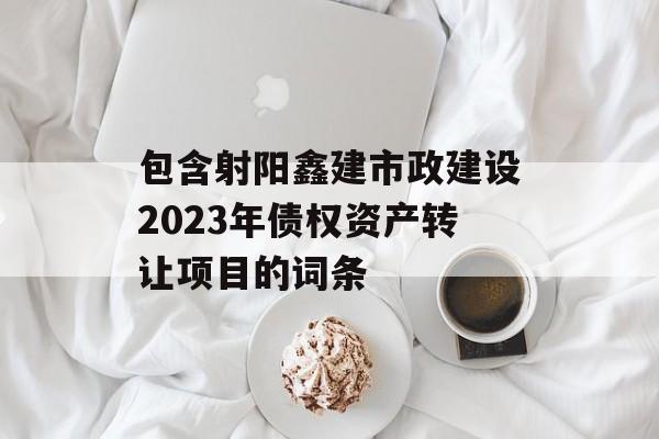 包含射阳鑫建市政建设2023年债权资产转让项目的词条