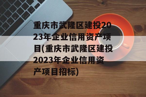 重庆市武隆区建投2023年企业信用资产项目(重庆市武隆区建投2023年企业信用资产项目招标)