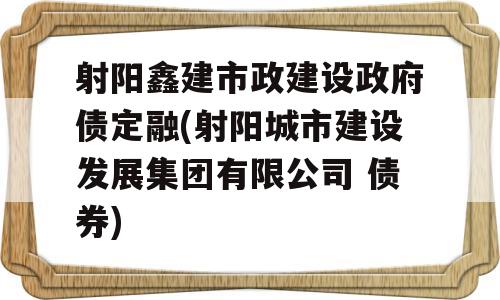 射阳鑫建市政建设政府债定融(射阳城市建设发展集团有限公司 债券)