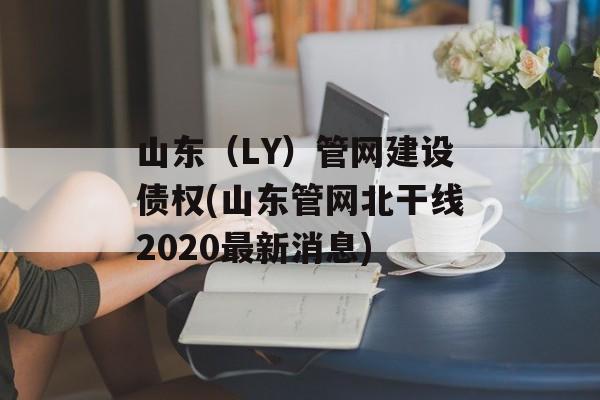 山东（LY）管网建设债权(山东管网北干线2020最新消息)