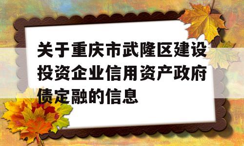 关于重庆市武隆区建设投资企业信用资产政府债定融的信息