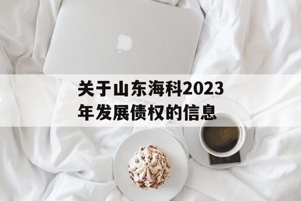 关于山东海科2023年发展债权的信息