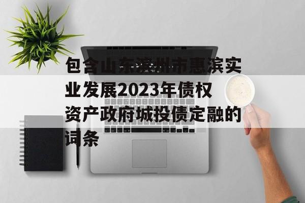 包含山东滨州市惠滨实业发展2023年债权资产政府城投债定融的词条