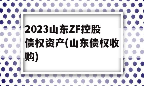 2023山东ZF控股债权资产(山东债权收购)