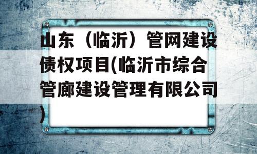 山东（临沂）管网建设债权项目(临沂市综合管廊建设管理有限公司)