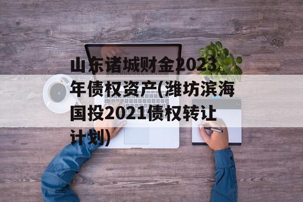 山东诸城财金2023年债权资产(潍坊滨海国投2021债权转让计划)