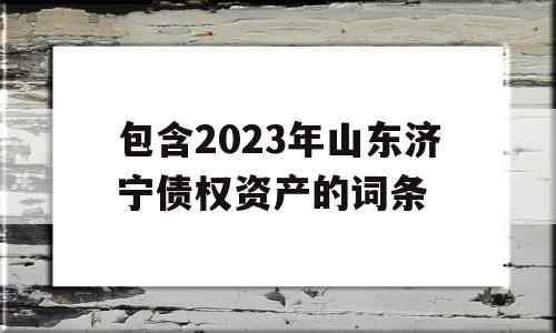 包含2023年山东济宁债权资产的词条