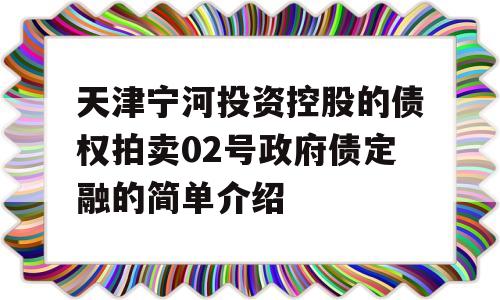 天津宁河投资控股的债权拍卖02号政府债定融的简单介绍