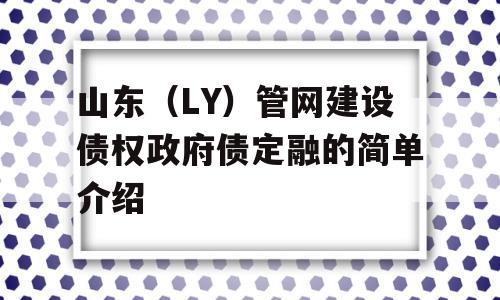 山东（LY）管网建设债权政府债定融的简单介绍