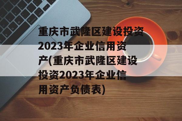 重庆市武隆区建设投资2023年企业信用资产(重庆市武隆区建设投资2023年企业信用资产负债表)