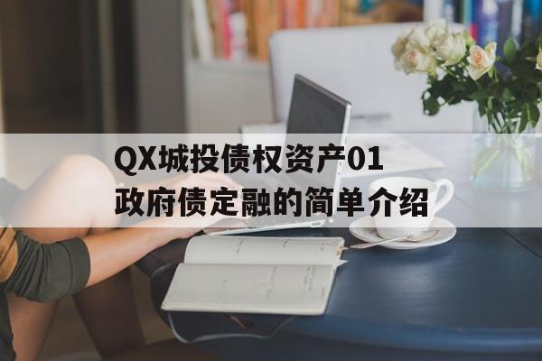 QX城投债权资产01政府债定融的简单介绍