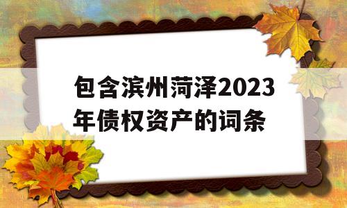 包含滨州菏泽2023年债权资产的词条