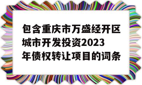 包含重庆市万盛经开区城市开发投资2023年债权转让项目的词条