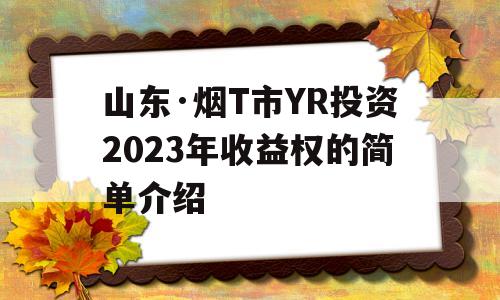 山东·烟T市YR投资2023年收益权的简单介绍