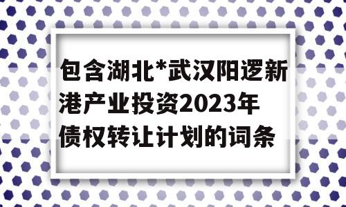 包含湖北*武汉阳逻新港产业投资2023年债权转让计划的词条