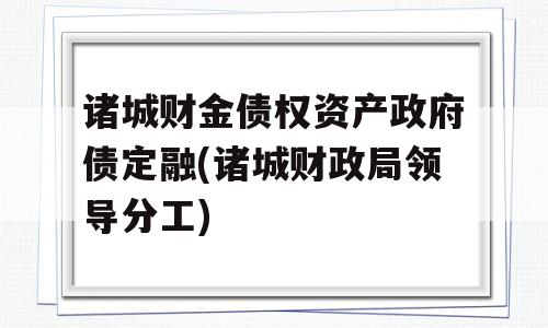 诸城财金债权资产政府债定融(诸城财政局领导分工)