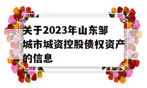 关于2023年山东邹城市城资控股债权资产的信息