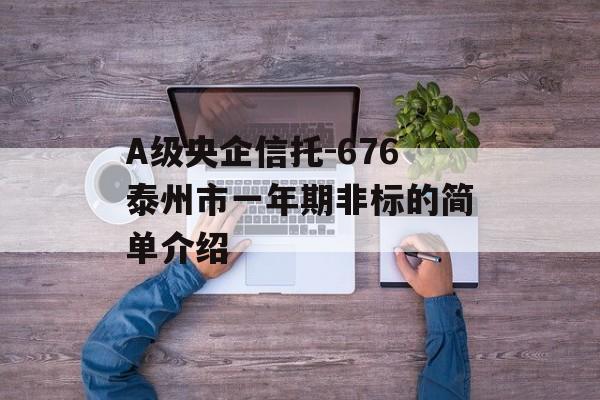 A级央企信托-676泰州市一年期非标的简单介绍