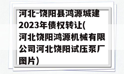 河北-饶阳县鸿源城建2023年债权转让(河北饶阳鸿源机械有限公司河北饶阳试压泵厂图片)