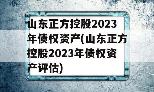 山东正方控股2023年债权资产(山东正方控股2023年债权资产评估)