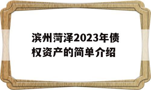 滨州菏泽2023年债权资产的简单介绍