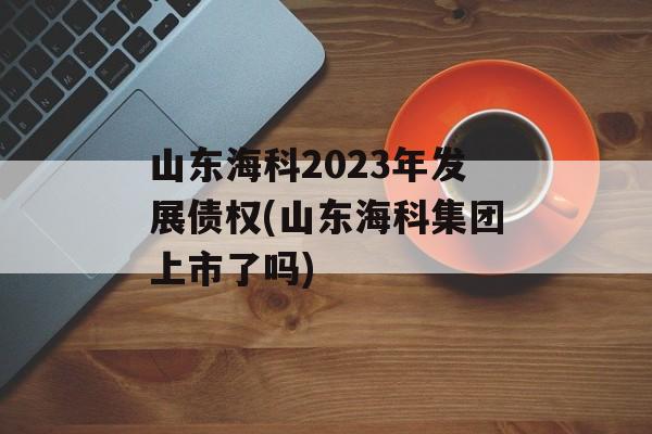 山东海科2023年发展债权(山东海科集团上市了吗)