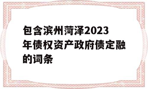 包含滨州菏泽2023年债权资产政府债定融的词条