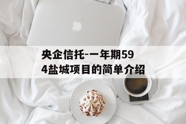 央企信托-一年期594盐城项目的简单介绍