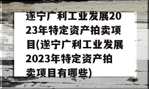 遂宁广利工业发展2023年特定资产拍卖项目(遂宁广利工业发展2023年特定资产拍卖项目有哪些)