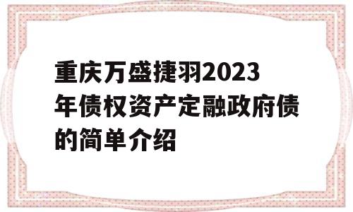 重庆万盛捷羽2023年债权资产定融政府债的简单介绍