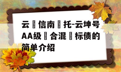 云‮信南‬托-云坤号AA级‮合混‬标债的简单介绍