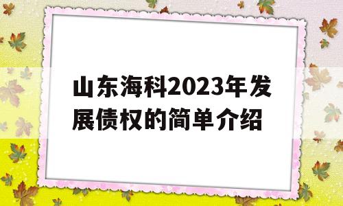 山东海科2023年发展债权的简单介绍