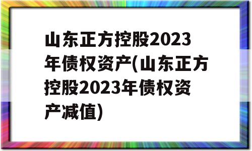 山东正方控股2023年债权资产(山东正方控股2023年债权资产减值)