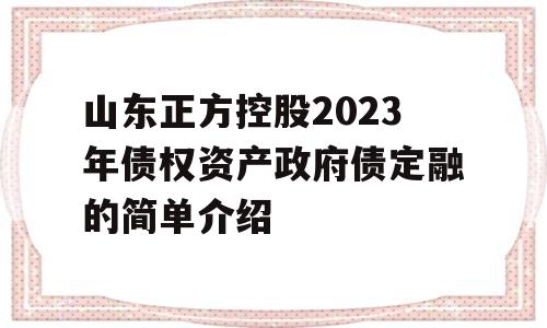 山东正方控股2023年债权资产政府债定融的简单介绍