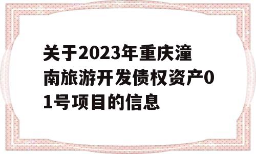 关于2023年重庆潼南旅游开发债权资产01号项目的信息