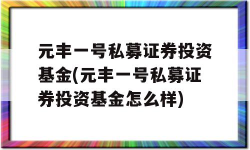 元丰一号私募证券投资基金(元丰一号私募证券投资基金怎么样)