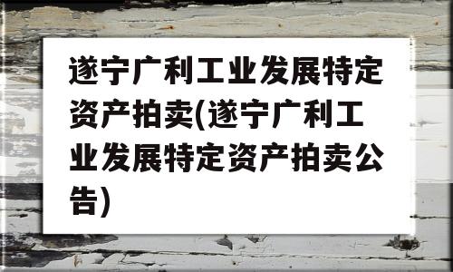 遂宁广利工业发展特定资产拍卖(遂宁广利工业发展特定资产拍卖公告)