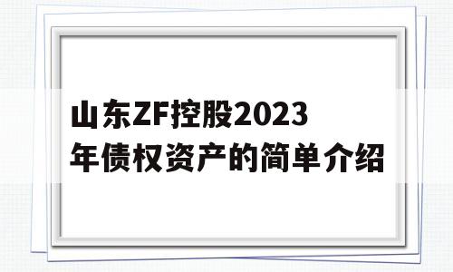 山东ZF控股2023年债权资产的简单介绍