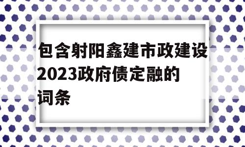 包含射阳鑫建市政建设2023政府债定融的词条