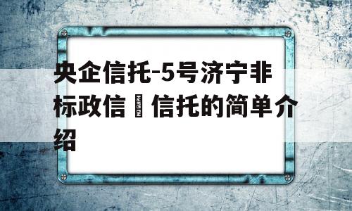 央企信托-5号济宁非标政信	信托的简单介绍