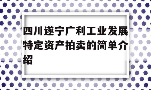 四川遂宁广利工业发展特定资产拍卖的简单介绍