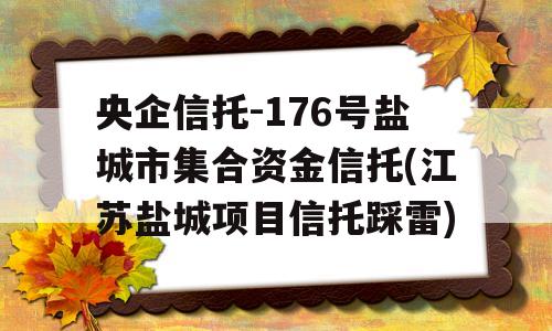 央企信托-176号盐城市集合资金信托(江苏盐城项目信托踩雷)