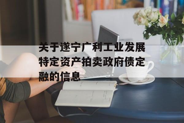 关于遂宁广利工业发展特定资产拍卖政府债定融的信息