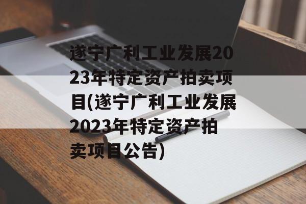 遂宁广利工业发展2023年特定资产拍卖项目(遂宁广利工业发展2023年特定资产拍卖项目公告)