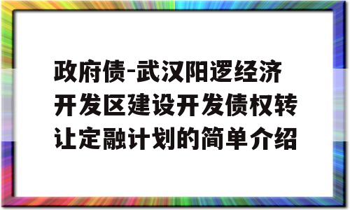 政府债-武汉阳逻经济开发区建设开发债权转让定融计划的简单介绍