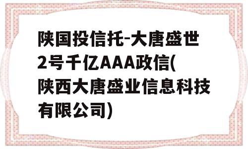 陕国投信托-大唐盛世2号千亿AAA政信(陕西大唐盛业信息科技有限公司)