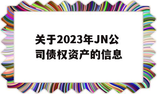 关于2023年JN公司债权资产的信息