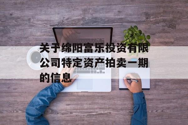 关于绵阳富乐投资有限公司特定资产拍卖一期的信息